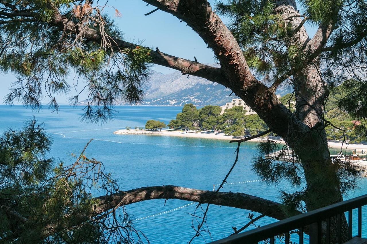 Apartments By The Sea Brela, Makarska - 16950 Buitenkant foto