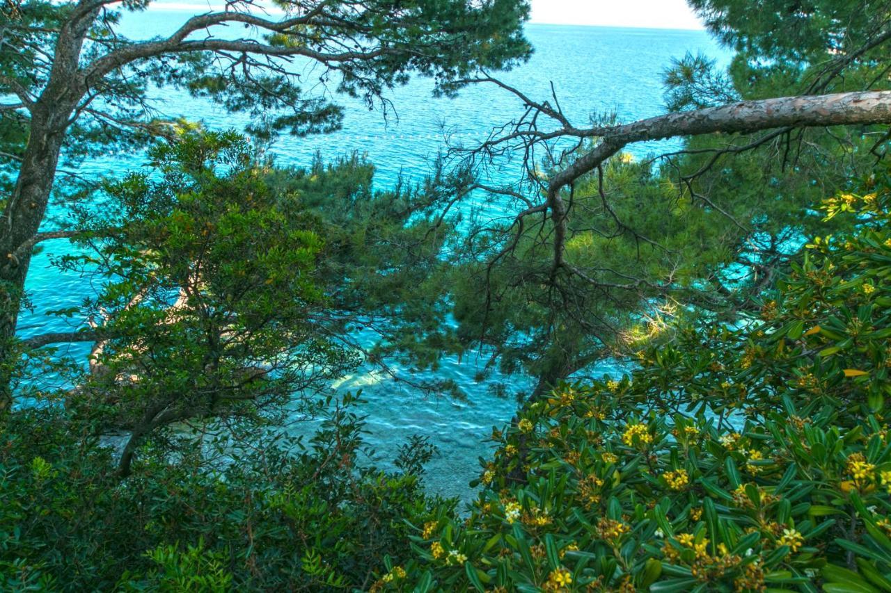 Apartments By The Sea Brela, Makarska - 16950 Buitenkant foto